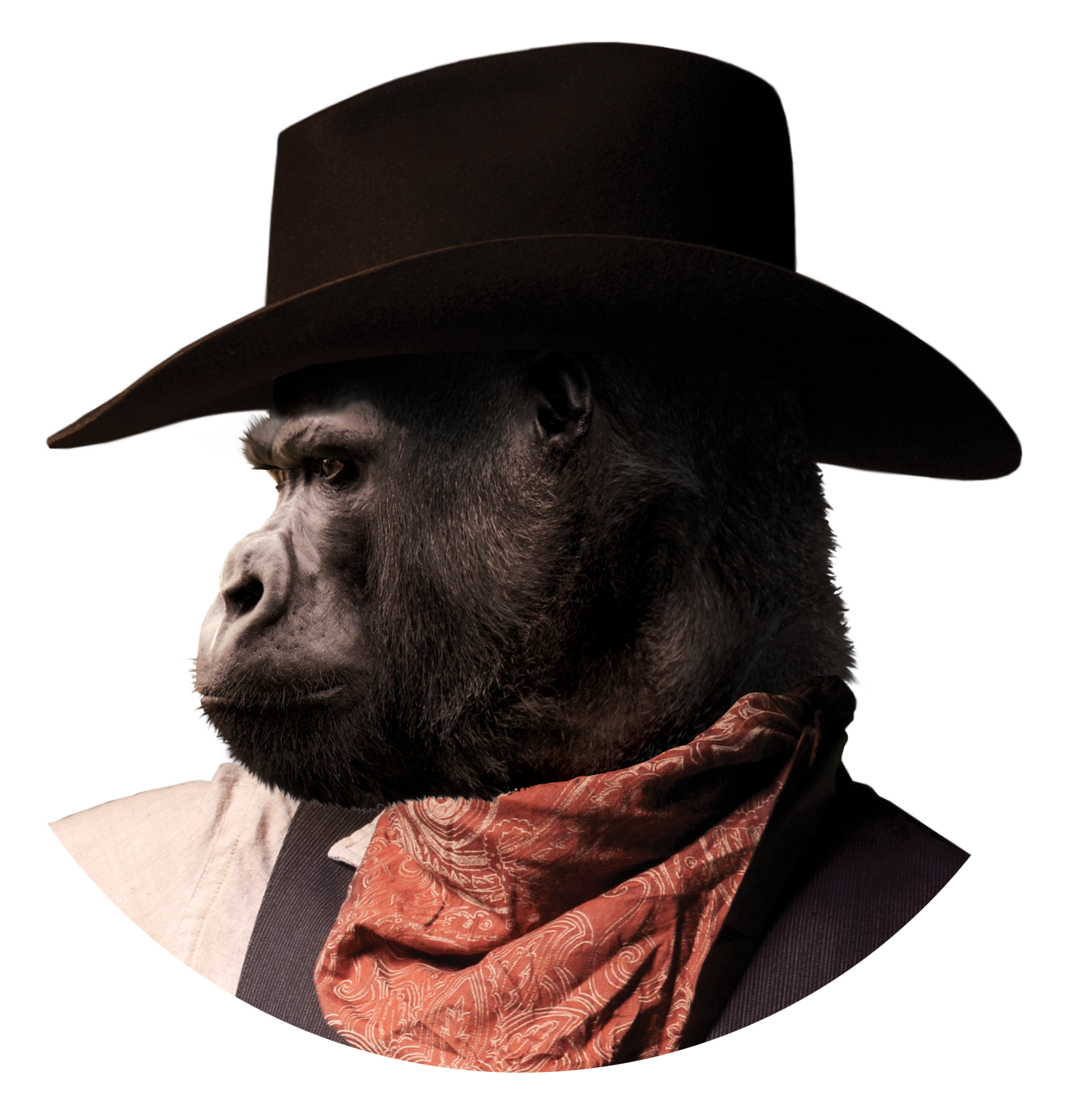 Gorilla-Cowboy-Sheriff-Head